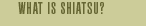 What is Shiatsu